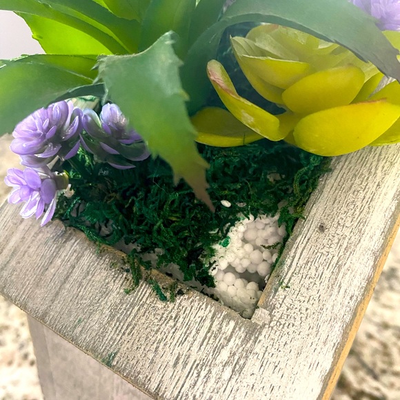 Birdhouse with succulent plant wall decor - Picture 6 of 6